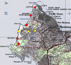 A red polygon indicates an extant occurrence; yellow indicates the occurrence has been extirpated. 